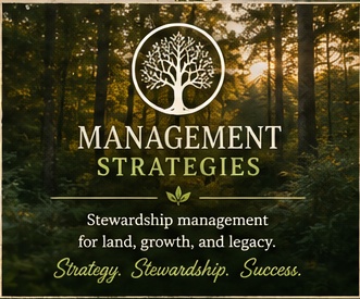 Management Strategies logo