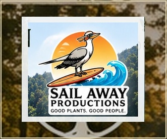 Sail Away Productions
