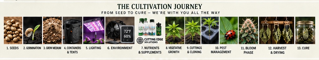 Cultivation journey from seeds through cure